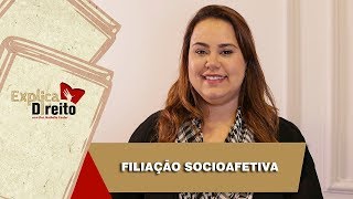 Explica Direito Filiação Socioafetiva  2019 [upl. by Suoivart]