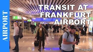 TRANSIT WALK AT FRANKFURT Airport FRA Terminal 1  Connection Flight Transfer Arriving amp Departing [upl. by Beatrisa399]